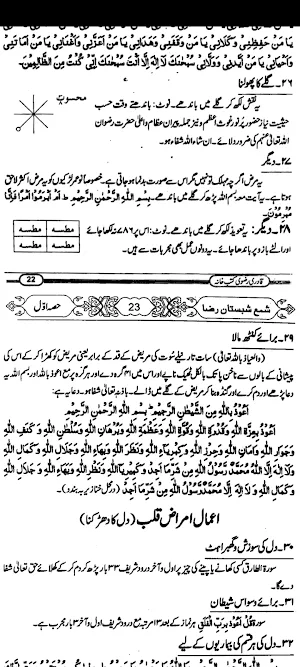 Shama Shabistan Raza Screenshot 2