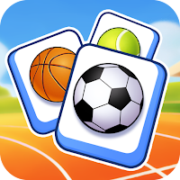 Sport Balls Match