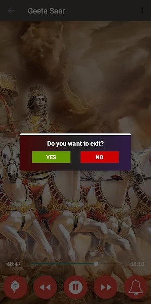 Bhagawad Geeta Saar Screenshot 3