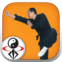 Shaolin Kung Fu w Subtitles