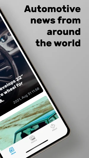 CARINDUST Screenshot 1
