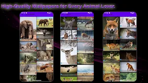 Animals of Wonder Screenshot 1