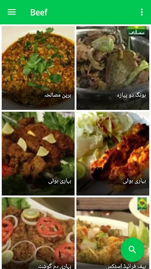 Beef Recipes in Urdu Screenshot 1