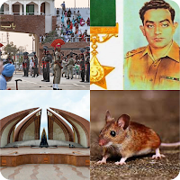 My Guess The Pic