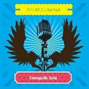 FM Libertad 89.3 Screenshot 2