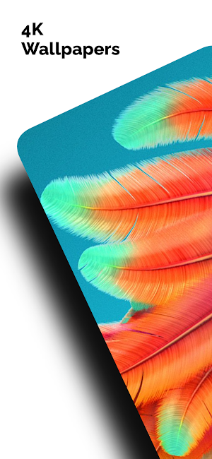 Live Wallpaper iPhone 11Pro Screenshot 0