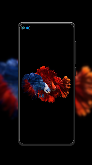 Beta Fish Wallpaper Screenshot 3