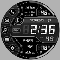 BRN106 : Watch Face