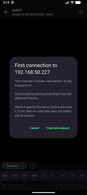 Terminalko SSH Terminal Client Screenshot 1