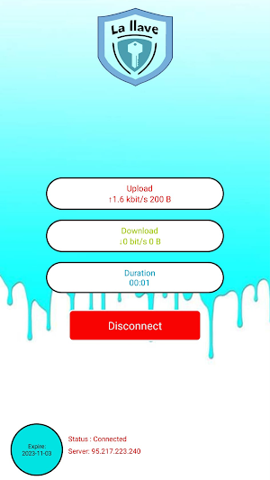 La llave vpn Screenshot 1