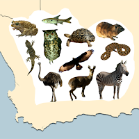 Stuarts' Great Karoo