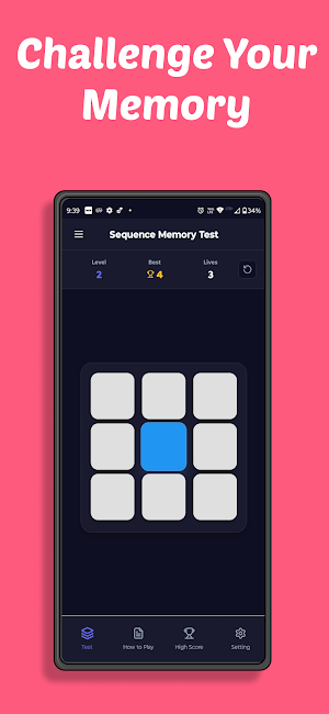 Sequence Memory Test Screenshot 2