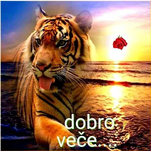 Dobro veče Laku noć Slike Screenshot 3