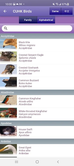 CU Birds Screenshot 1