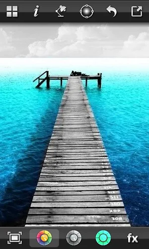 Color Splash FX Screenshot 0