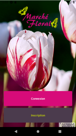 Marché Floral Sainte Catherine Screenshot 0