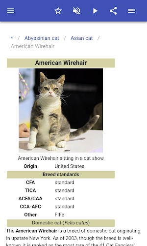 Cat breeds Screenshot 3