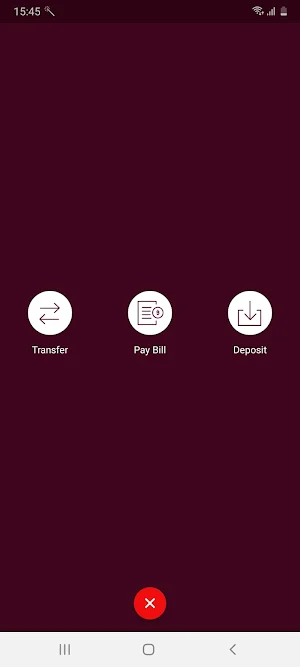 Lakeside Mobile Banking Screenshot 2