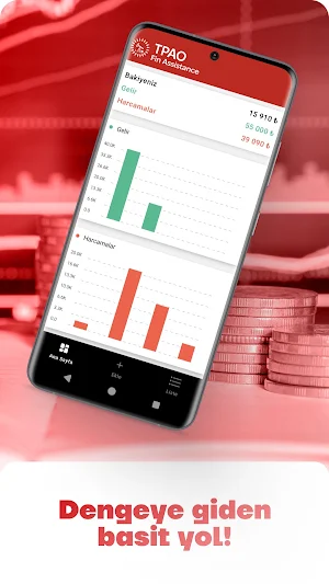 TPAO fin assistance Screenshot 2