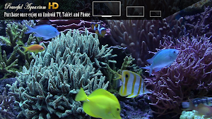 Peaceful Aquarium HD Screenshot 1