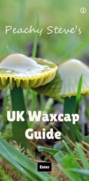 Peachy Steve's UK Waxcaps Screenshot 0