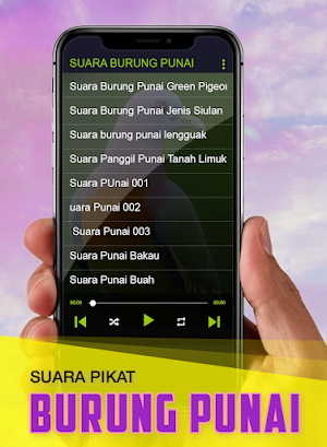 Suara Punai: Green Pigeon Screenshot 2