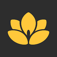 Focus Planner: Find Your FLow