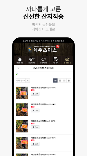Jeju Choice Screenshot 2