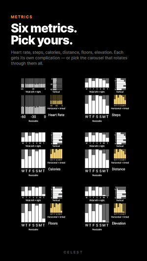 Fit Data Complication Screenshot 2