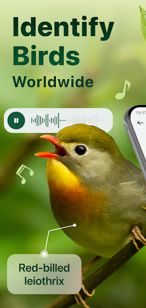 Bird Identifier: Sound Bird ID Screenshot 0