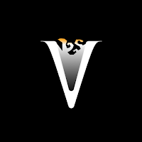Vibefire