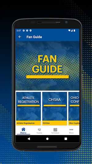 Gahanna Lincoln Athletics Screenshot 3