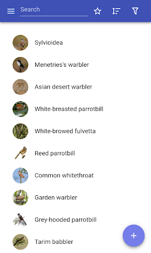 Passeriformes Screenshot 0