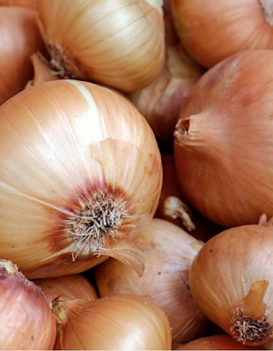 Onion Food Screenshot 2