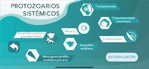 Protozoarios sistémicos Screenshot 2