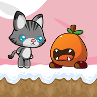critter chase cat