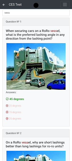 RORO cargo CHaS Support CES Screenshot 2