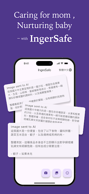 Ingresafe Screenshot 0