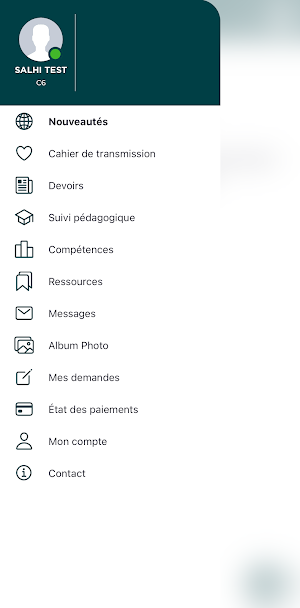 Newton Bridge Screenshot 2