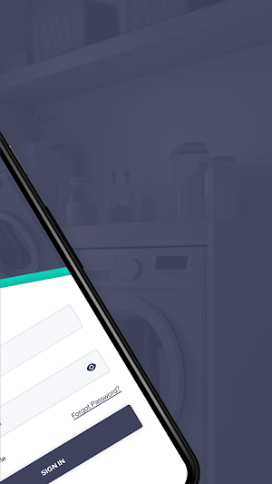Laundry Whips Screenshot 1
