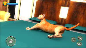 Cat Simulator 2021: Virtual Cat Life 2021 Screenshot 3