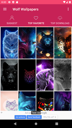 The Wolf Wallpapers Screenshot 1