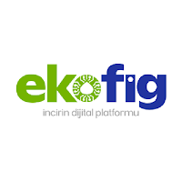 Ekofig - İncir Tedarik Zinciri