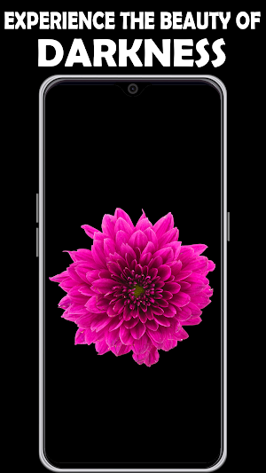 Black Wallpapers App Screenshot 0