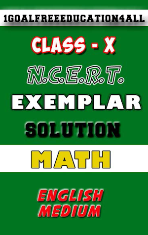 Class 10 math(English) Ncert exemplar Screenshot 0