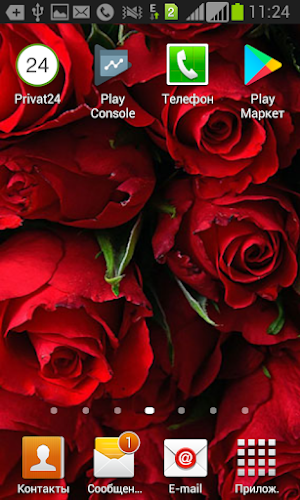 Wallpaper Flowers1 Screenshot 2