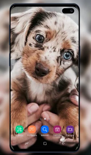 Puppy Wallpaper Screenshot 1