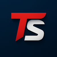 Tsurv - Technical Surveyor
