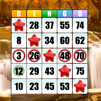 Mega Bingo