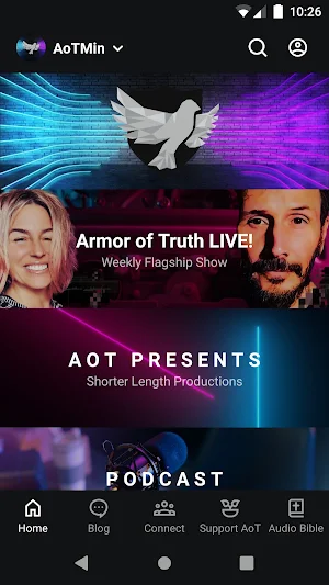 Armor of Truth Screenshot 0